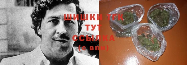 прущие грибы Алзамай